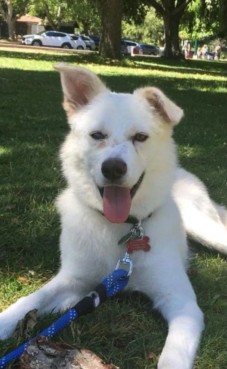 Snow after recovery