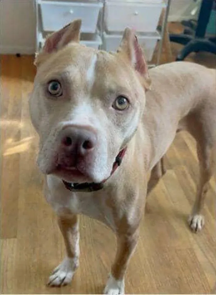 Max after recovery