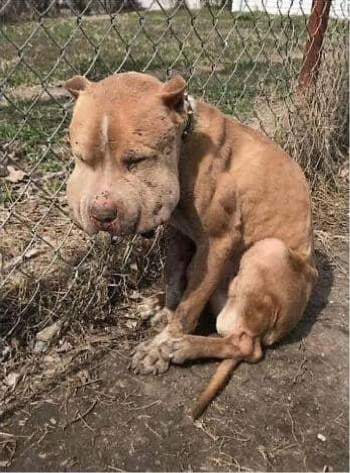 Max when rescued