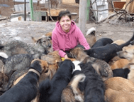 Support for the Friend shelter